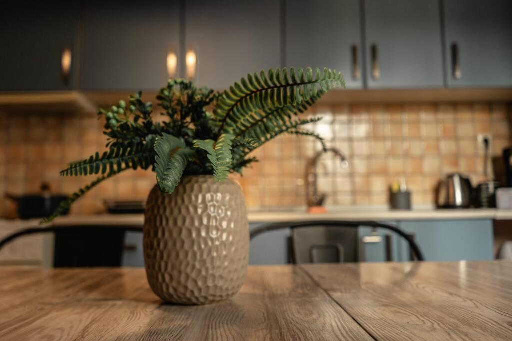 Aigli'S Urban Lodge Волос Екстер'єр фото